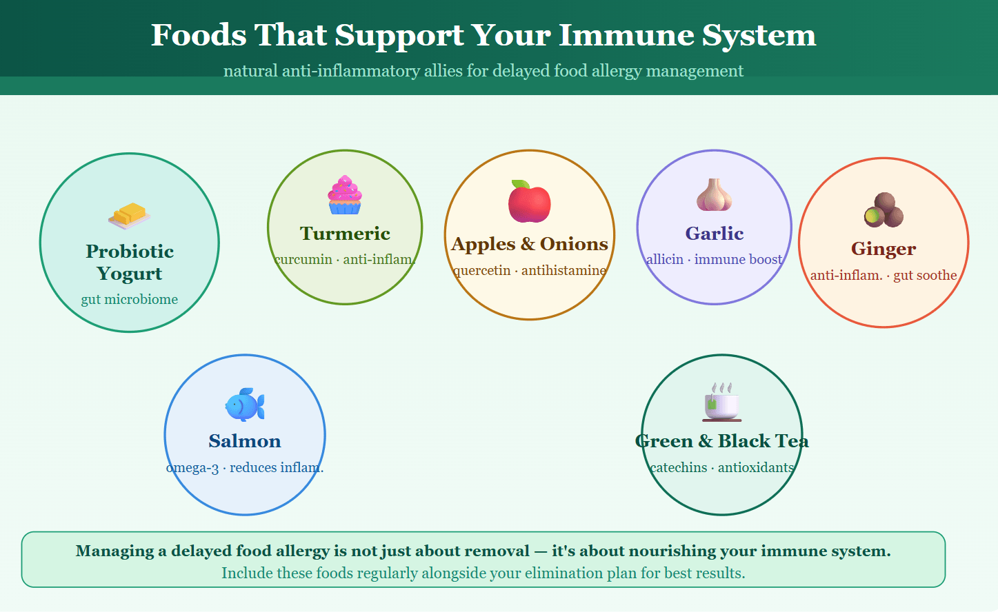Foods that support the immune system during delayed food allergy management including turmeric, ginger, salmon, garlic, and probiotic yogurt