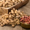 Peanut and Tree Nut Allergy – An Introduction