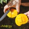 Mango Allergy – Symptoms, Tests and Treatments